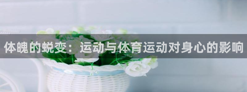 沐鸣2体育官网入口登录