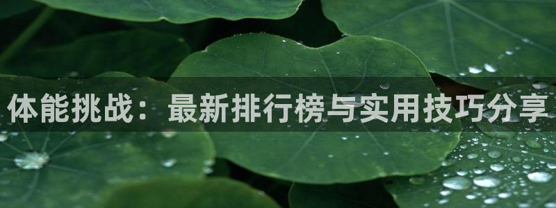 沐鸣2测速登陆