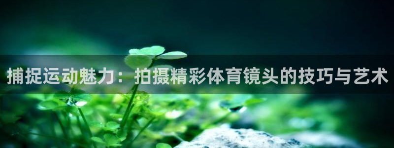 沐鸣平台登录