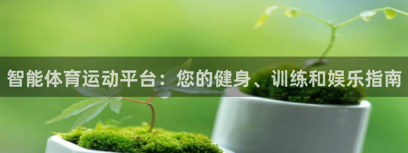 沐鸣2能源