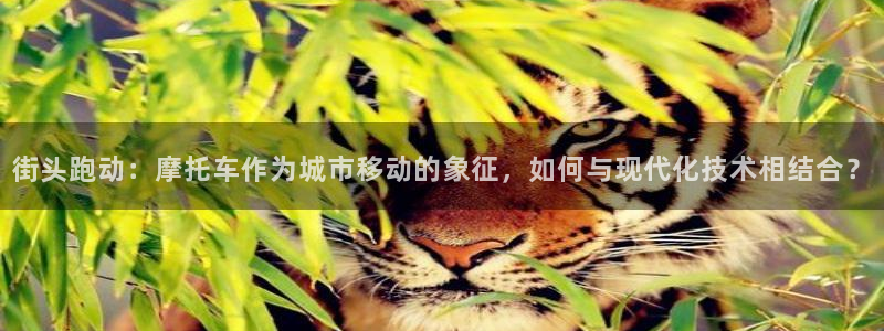 沐鸣2vk