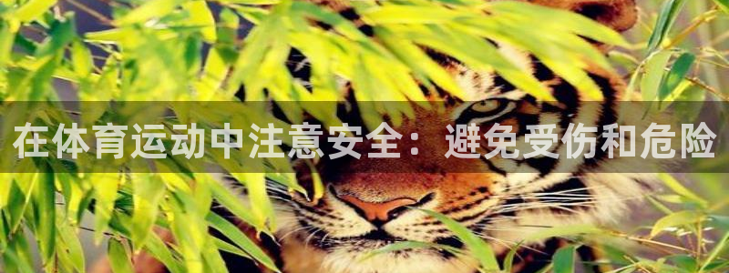 沐鸣平台官网入口