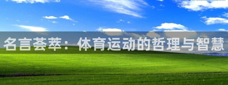沐鸣2首页登录