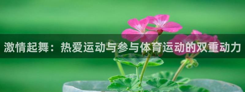 沐鸣2体育官网登录