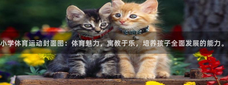 侠义道2网页版登录入口